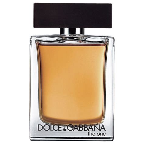 dolce & gabbana the one for men